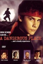 A Dangerous Place poster