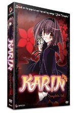 Смотреть Karin онлайн бесплатно.