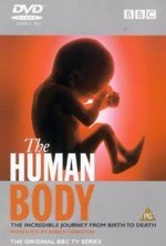 Watch The Human Body online free.